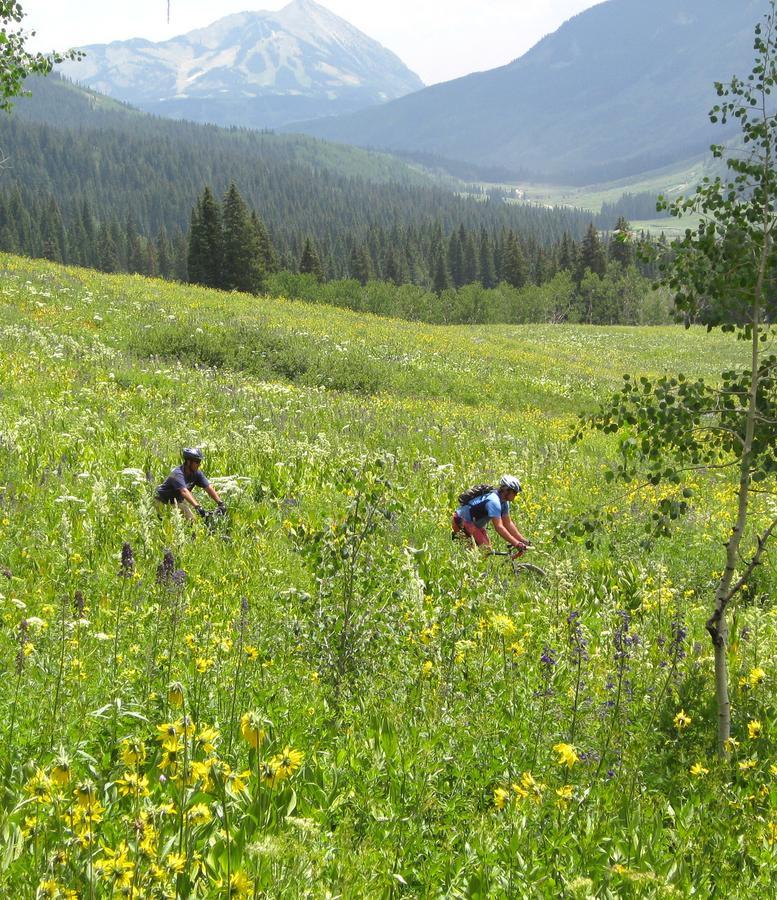 Purple Mountain Bed & Breakfast & Spa Crested Butte Exteriér fotografie